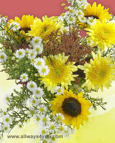 Bouquets SunFlower Flowers